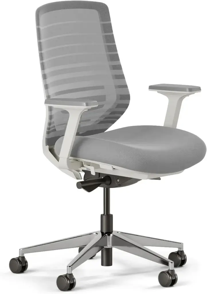 Branch ergonomic office chair - budget-friendly option with premium features