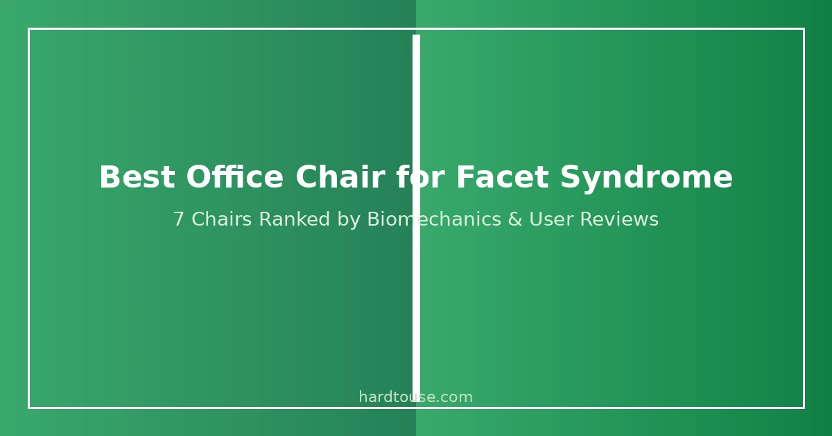 Best office chair for facet syndrome - ergonomic chairs ranked for facet joint pain relief